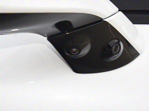 2025�� 725 �������� Max