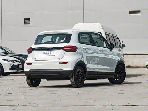 2025�� 310������