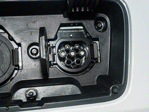 2025�� 310������