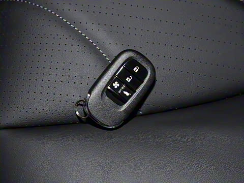 2025�� ����������Pro