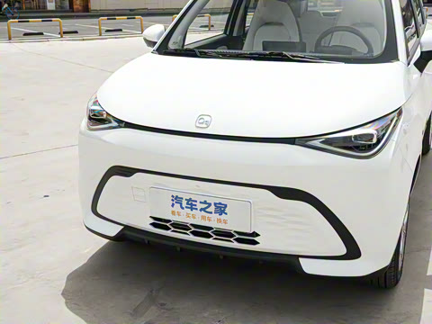 2025�� 305km ������