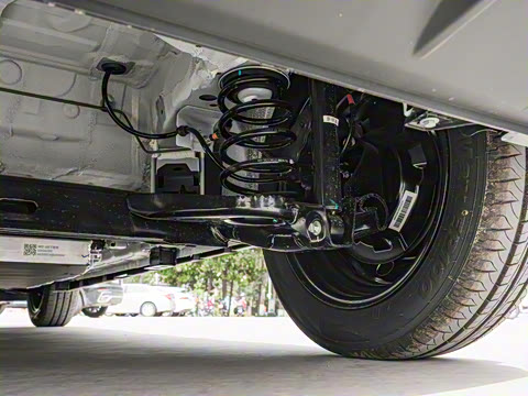 2025�� 305km ������