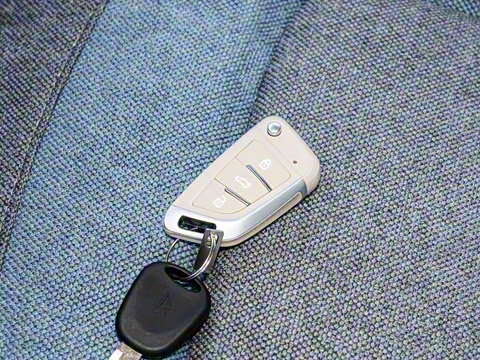 2025�� 205km ��Ȱ�