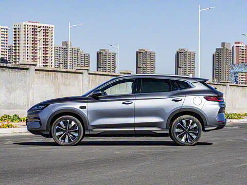 2025�� DM-i �Ǽݰ� 112KM ������