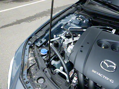 2025�� 2.0L �Զ������