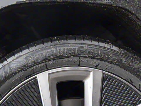 2025�� ����������Max