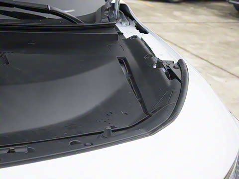 2025�� ����������Max