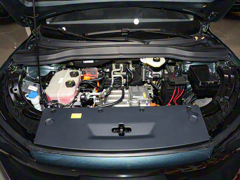 2025�� 565km ������