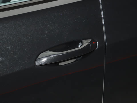 2025�� RS Q8 4.0T 45��������