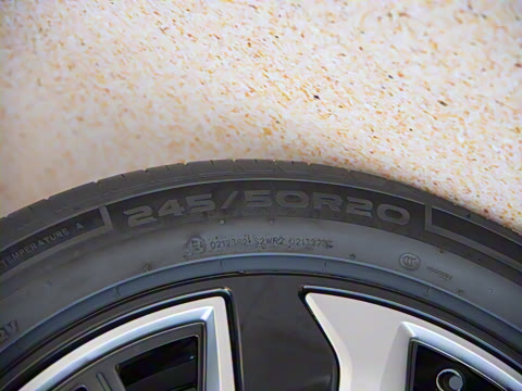 2025�� 135 �����ܼ����״��