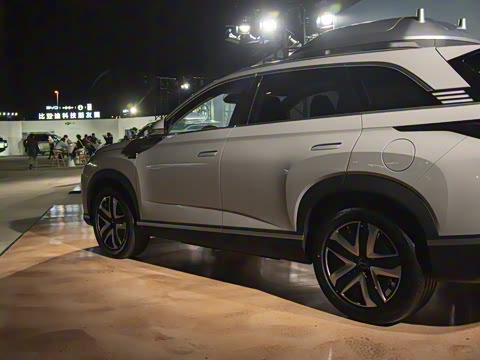 2025�� 135 �����ܼ����״��