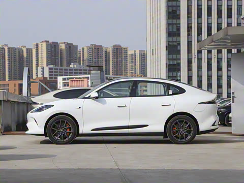 2025�� �������������Ǽݰ�