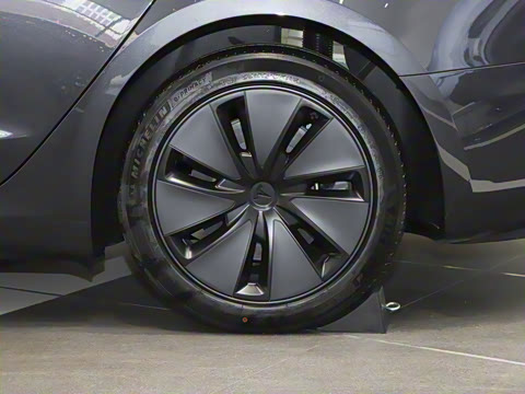 2025�� ����������