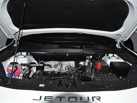 2025�� �ھ��� 1.5T �ֶ��ھ� 5��