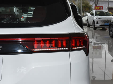 2025�� �ھ��� 1.5T �ֶ��ھ� 5��