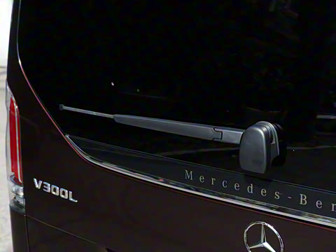 2025�� �����ű���ʯ��