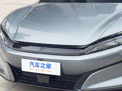 2025�� DM-p ���������״��콢��