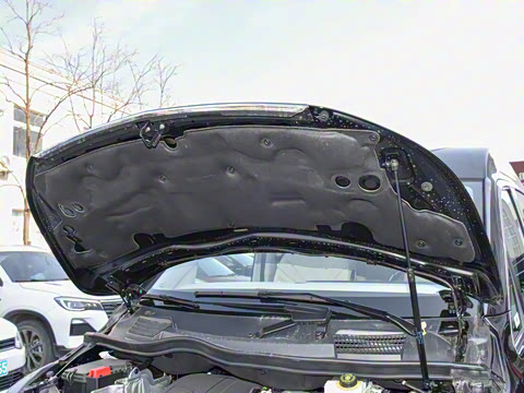 2025�� 2.0T V�������ֵ�һ���