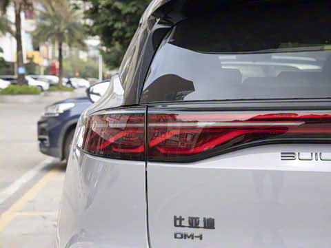 2025�� �Ǽݰ� DM-i 115KM �����