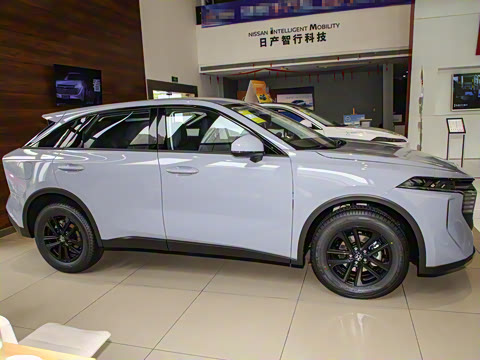 2024�� 260T ����ϲ���� Pro