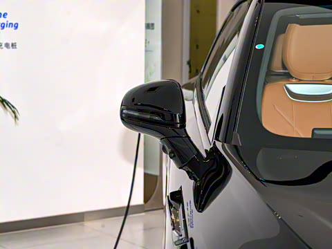 2025�� 625 ������ Max