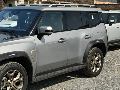 2025�� 2.0TD XWD �Զ�����+