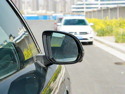 2025�� DM 175KM���˻���Ұ�