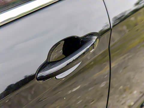 2024�� �ھ��� 1.5T �ֶ��ھ� 5��