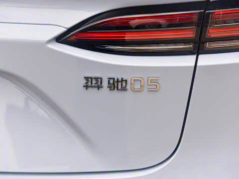 2025�� ���05 ������