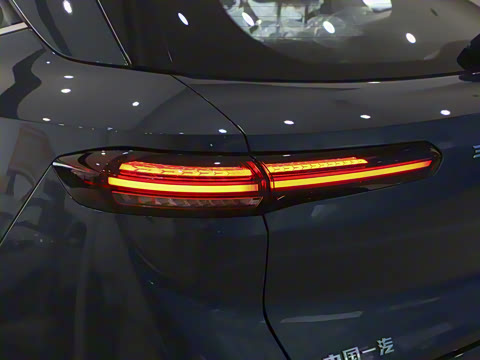 2025�� 565km ������