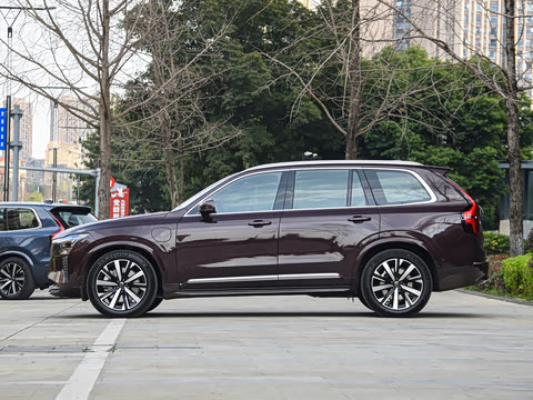 2025�� �Ŀ� T8 ��������� 7��