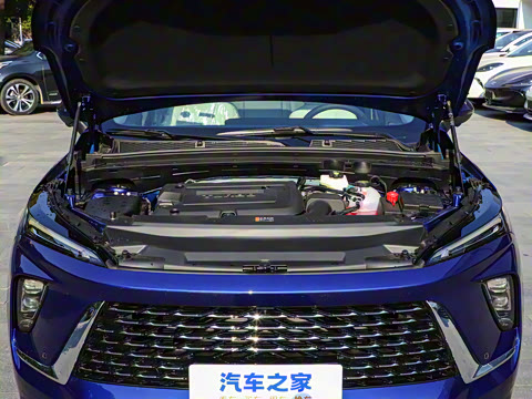 2025�� ������Plus ����Avenir��ά��