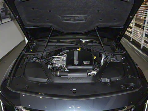 2023�� 28T ������