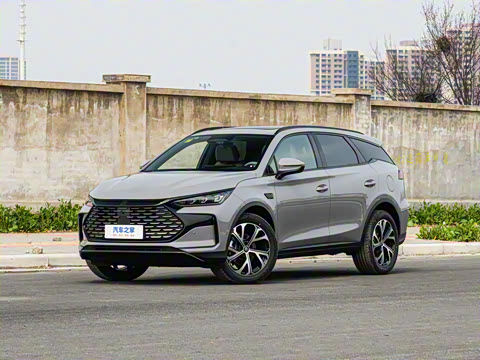 2025�� �Ǽݰ� DM-i 115KM �콢��