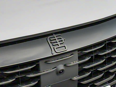 2025�� �Ǽݰ� DM-i 115KM �콢��