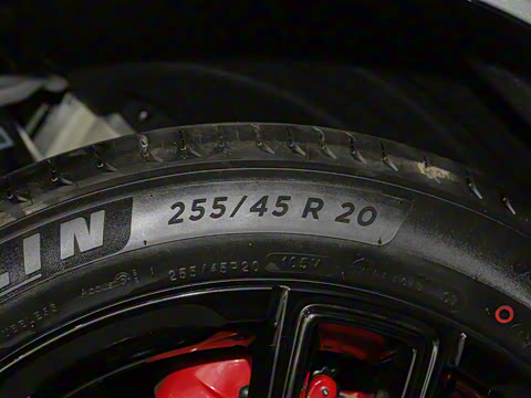 2025�� 318 259km ����̽����