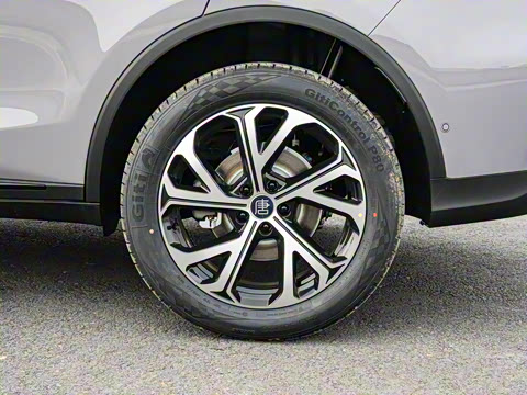 2025�� �Ǽݰ� DM-i 115KM �콢��