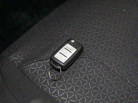 2025�� 1.5L �����Ϳͳ�(������)7��