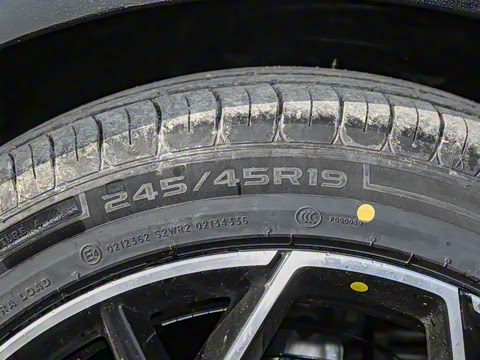 2025�� �������̰� 230�����