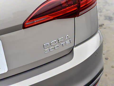 2025�� 300TSI DSG���а�