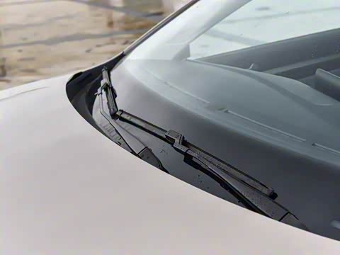 2025�� 300TSI DSG���а�