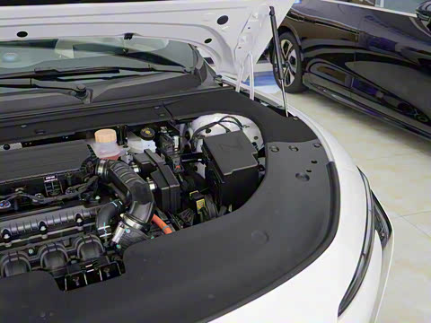 2025�� 235���� ������