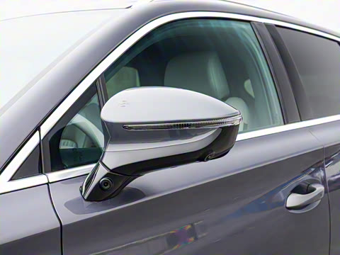 2025�� �Ǽݰ� DM-i 115KM ������