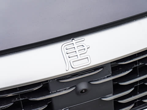 2025�� �Ǽݰ� DM-i 115KM ������