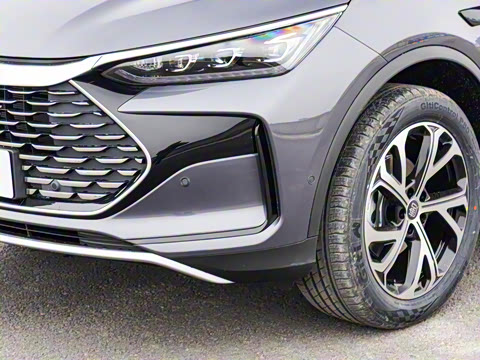 2025�� �Ǽݰ� DM-i 115KM ������