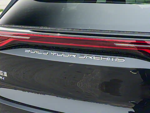 2025�� �Ǽݰ� DM-i 115KM ������