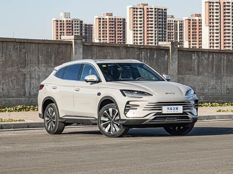 2025�� DM-i �Ǽݰ� 112KM �����