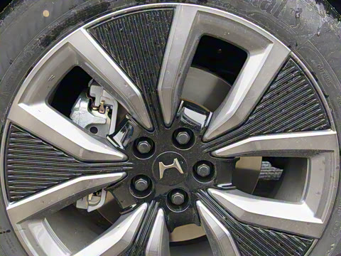 2025�� ����������Max