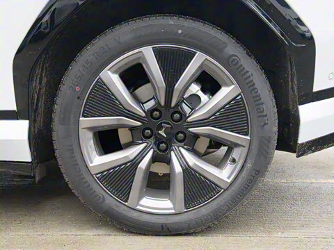 2025�� ����������Max