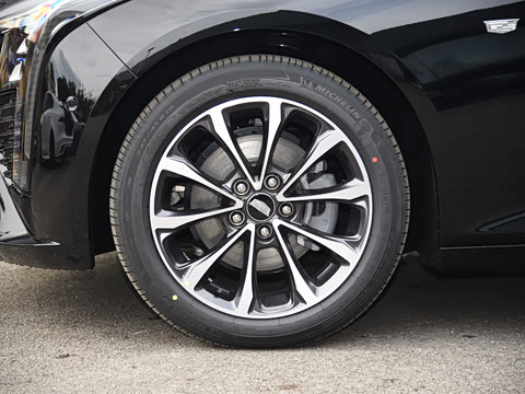 2025�� 28T �����˶���